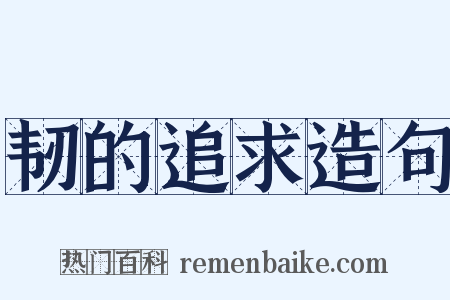 韧的追求造句是什么意思的图片